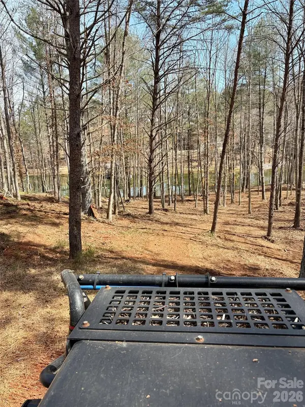 2289 Castle Peak Mountain MTN #133, Connelly Springs, NC 28612