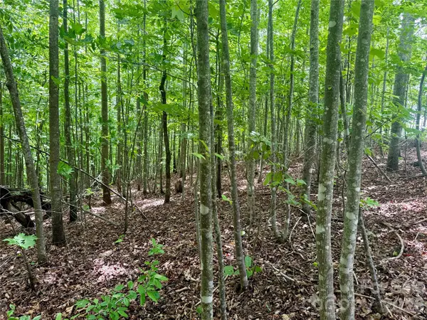 V/L Scenic Vista DR #248, Nebo, NC 28761