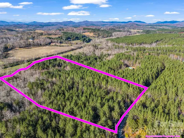 0 Farmer Johns TRL #9, Rutherfordton, NC 28139