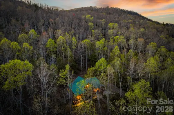 163 Bear Track LN, Vilas, NC 28692