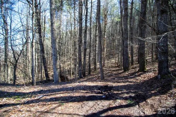 0000 Grapevine RD, Marshall, NC 28753