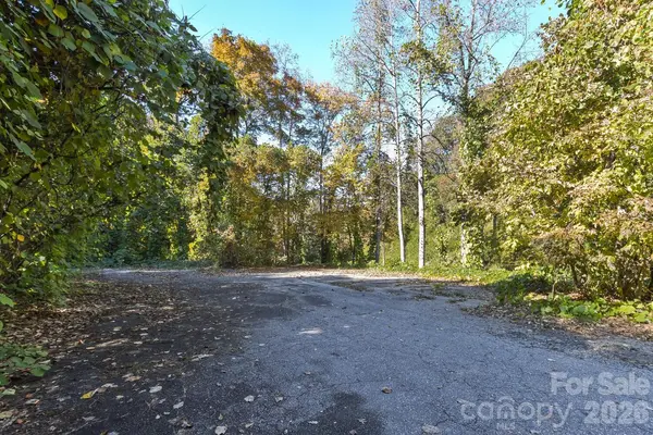 0 Waterside DR #Lot #1B and Lot #1C, Lake Lure, NC 28746