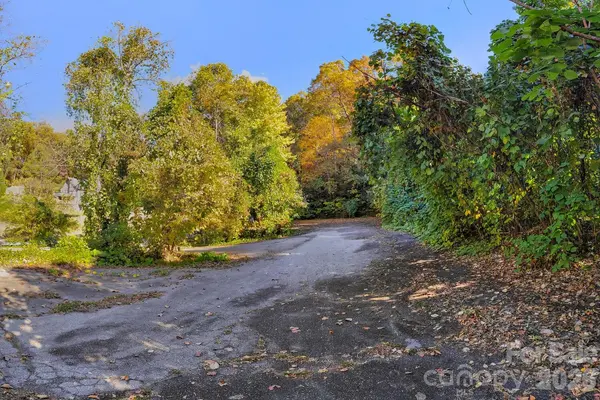 0 Waterside DR #Lot #1B and Lot #1C, Lake Lure, NC 28746