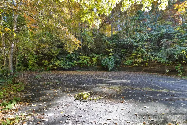 0 Waterside DR #Lot #1B and Lot #1C, Lake Lure, NC 28746