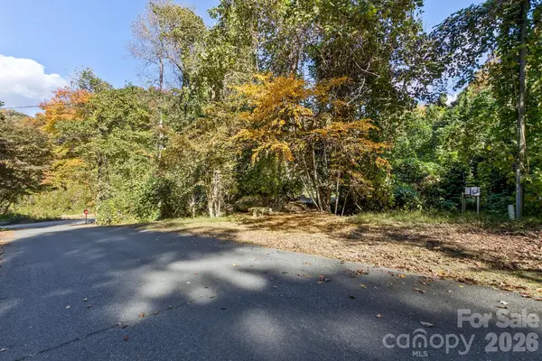 0 Waterside DR #Lot #1B and Lot #1C, Lake Lure, NC 28746