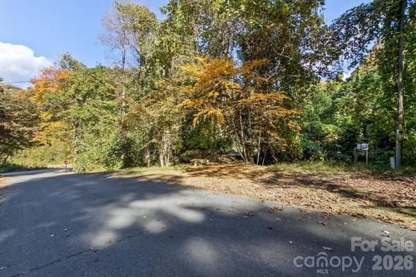 0 Waterside DR #Lot #1B and Lot #1C, Lake Lure, NC 28746