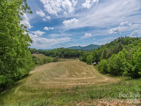 461 Ferguson Cove LOOP, Clyde, NC 28721