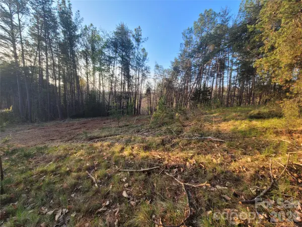 0 Cozy LN #59, Lake Lure, NC 28139