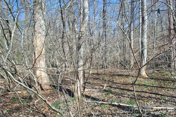0 Cross Creek DR #143, Rutherfordton, NC 28139