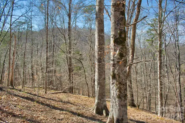0 Cross Creek DR #143, Rutherfordton, NC 28139