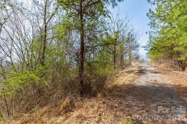 00 Crist View DR #Lot 12, Marshall, NC 28753