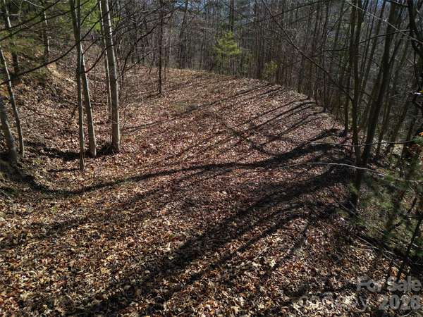 1165 Scenic CIR, Waynesville, NC 28786