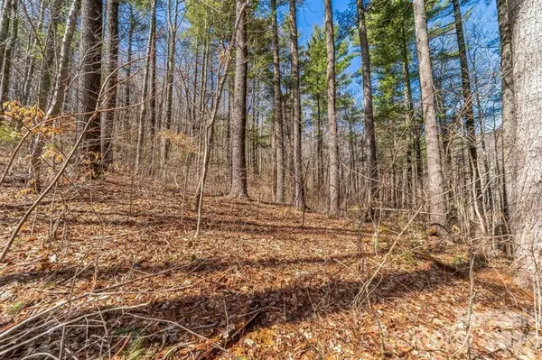 99999 Parker RD, Asheville, NC 28805