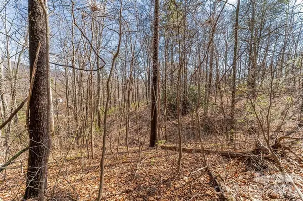 99999 Parker RD, Asheville, NC 28805