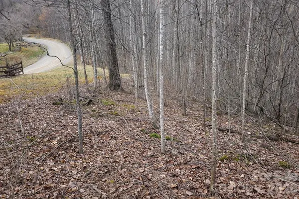 00 Upward WAY #1, Waynesville, NC 28785