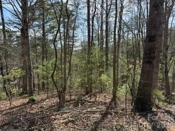 2 Frontier CT, Asheville, NC 28805
