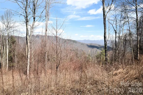 000 Curry Comb TRL #513, Waynesville, NC 28785