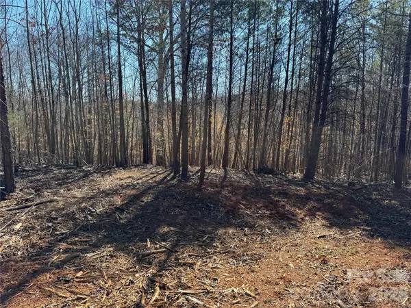 5700 Bentley Ridge DR #12, Davidson, NC 28036