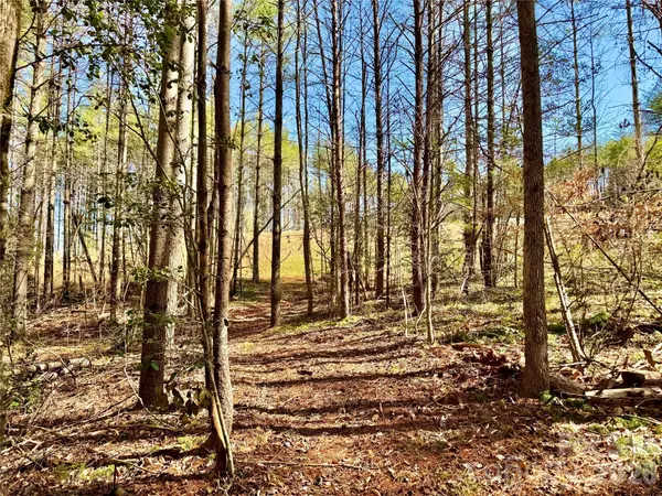 6129 Painted Ridge TRL #Lot 739, Lenoir, NC 28645
