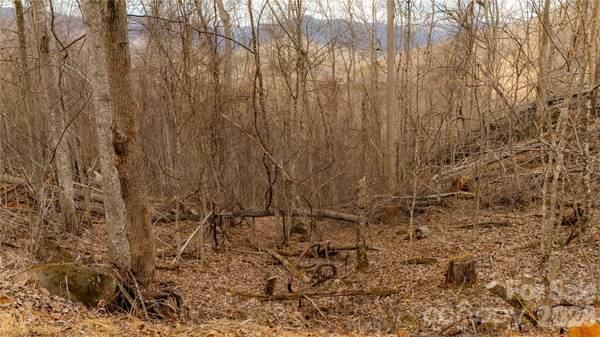 000 Elliotts LOOP #123 & 124, Bakersville, NC 28705
