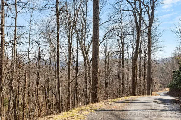 Lot 5 Laurel Mountain TRL, Black Mountain, NC 28711