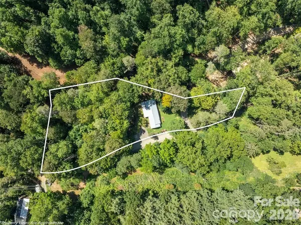347 Blackberry Inn RD, Weaverville, NC 28787