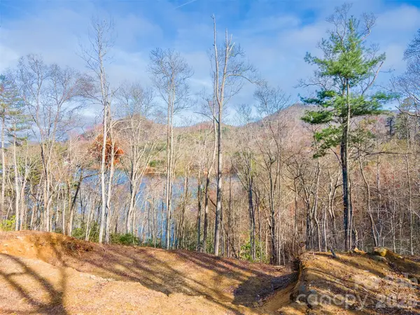 Lot 156 Mandolin CT #156, Tuckasegee, NC 28783