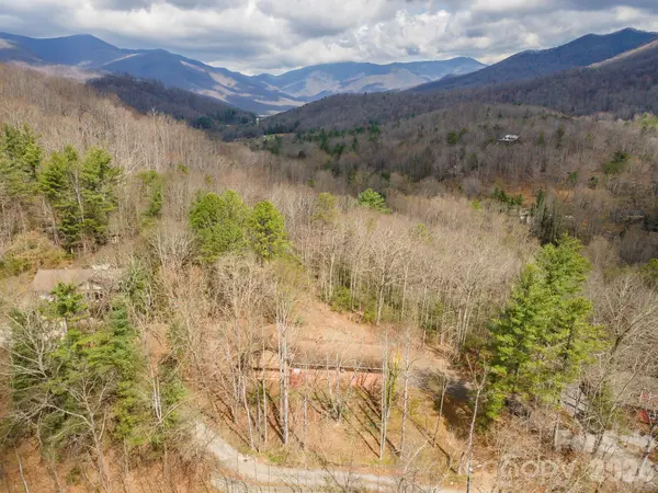 118 Richard LN, Black Mountain, NC 28711