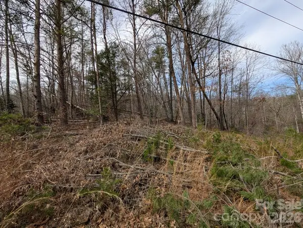 4960 Singleton DR, Morganton, NC 28655