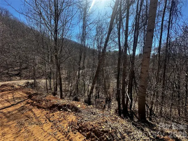 00 Grace Ridge RD, Bakersville, NC 28705