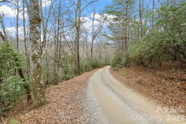 Lot 12 Patton Thicket RD, Burnsville, NC 28714