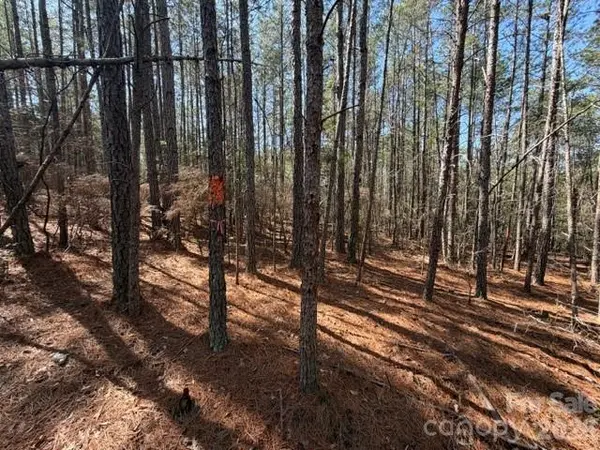 12.68 Acre 99 RD, Blair, SC 29015