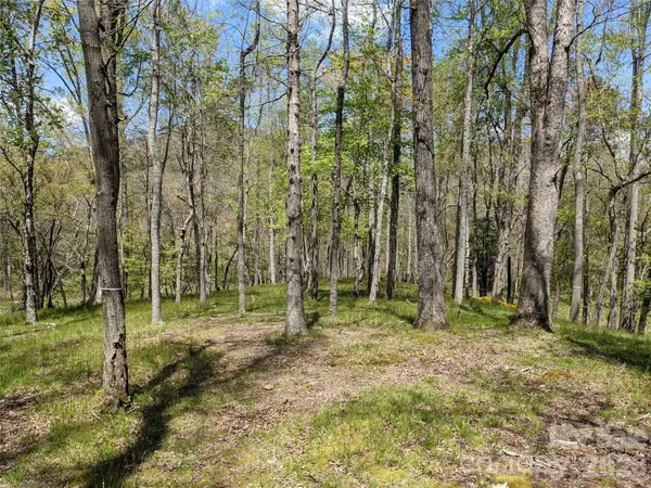 27 Woodtrail WAY, Arden, NC 28704