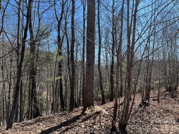 803254 Ivy RD #219, Mills River, NC 28759