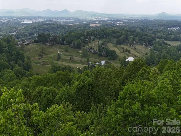 Lot #117 Honey Locust DR, Mills River, NC 28759