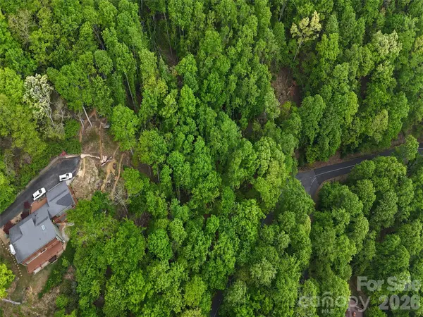 Lot #117 Honey Locust DR, Mills River, NC 28759