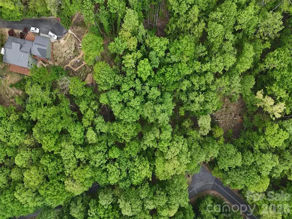 Lot #117 Honey Locust DR, Mills River, NC 28759