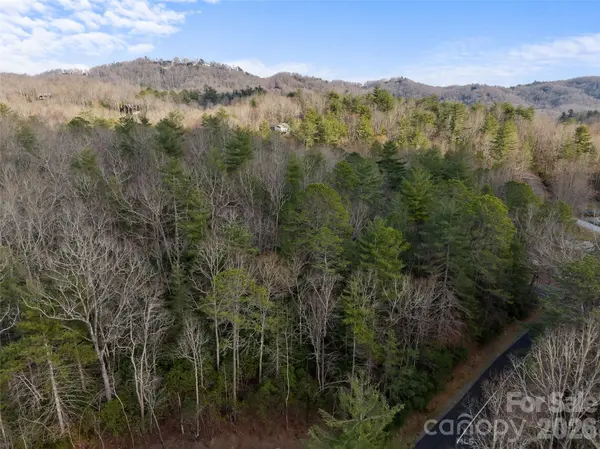 TBD Tsvwagi CT #2/25, Brevard, NC 28712