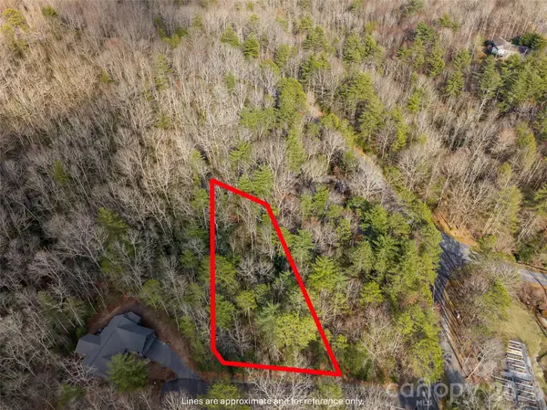TBD Tsvwagi CT #2/25, Brevard, NC 28712