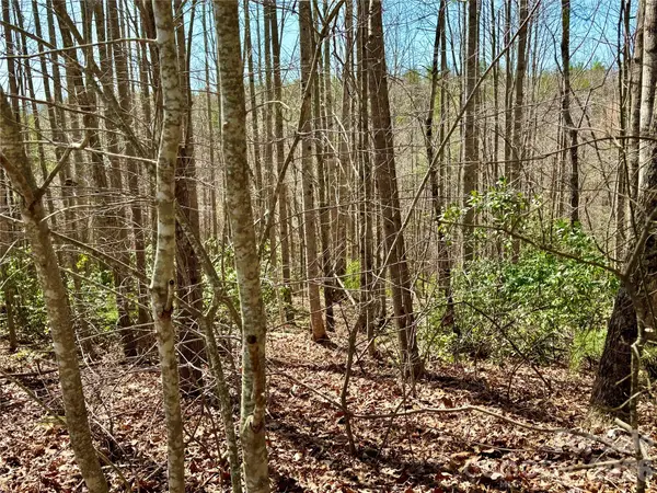 Lot 42, Round Mountain Pkwy #42, Lenoir, NC 28645