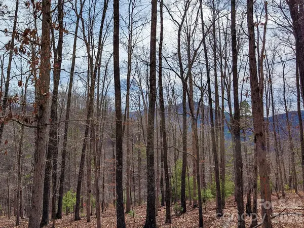 51 Wild Turkey LOOP #32, Marshall, NC 28753