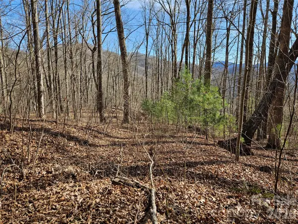 262 Si Knob RD, Cullowhee, NC 28723
