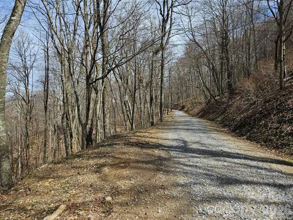 000 Forbidden CV, Waynesville, NC 28785