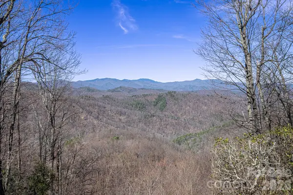 192 Woodruff LN, Black Mountain, NC 28711