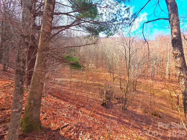 250 Rome Beauty RD #TR5, Waynesville, NC 28785