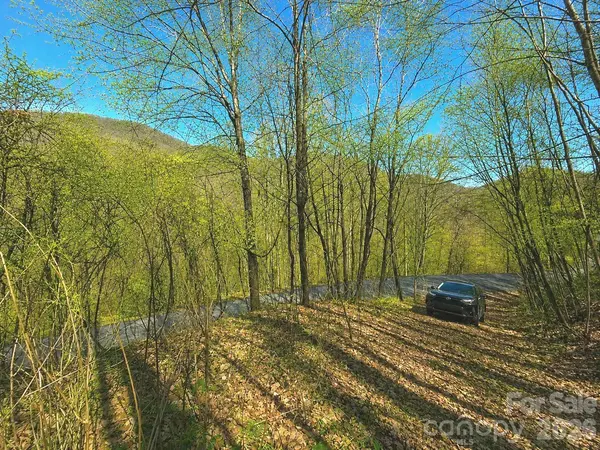 1200 Chestnut Flats LN #138, Waynesville, NC 28786
