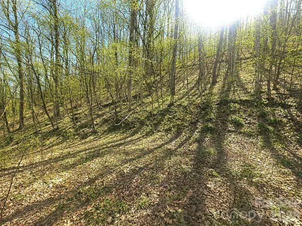 1200 Chestnut Flats LN #138, Waynesville, NC 28786