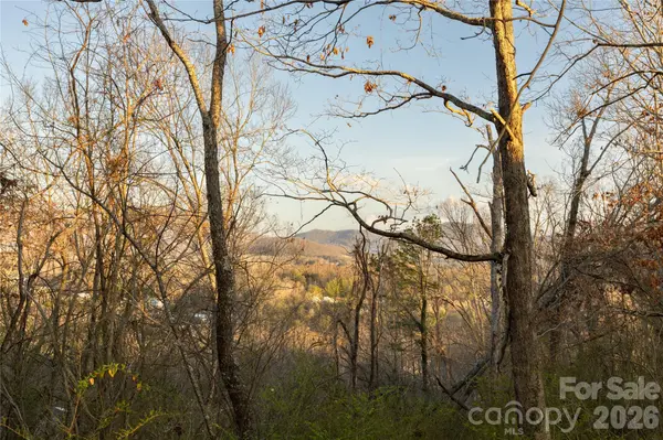 9999 Weaver Hill RD, Asheville, NC 28805