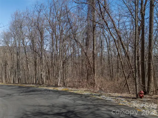 Lot 2130 Weaverly LN, Mill Spring, NC 28756