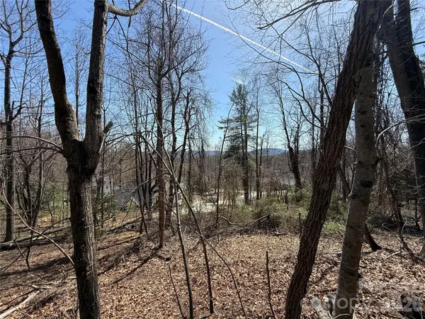 3 Fawn Turn LN, Hendersonville, NC 28739